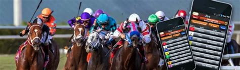 metro fast bet